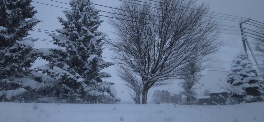 눈이 보기 싫었던 삿포로-홋카이도 탈출기_33.webp