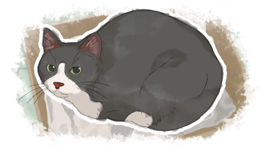 인터랙티브 어드벤처 "Dear me, I was..." 어콜레이드 트레일러_6.webp