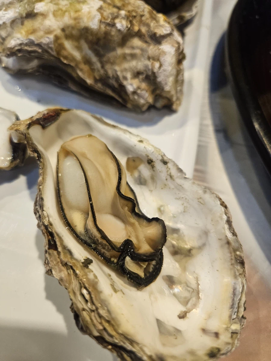 [음성] 충북혁신도시 대게큰누나_13.webp