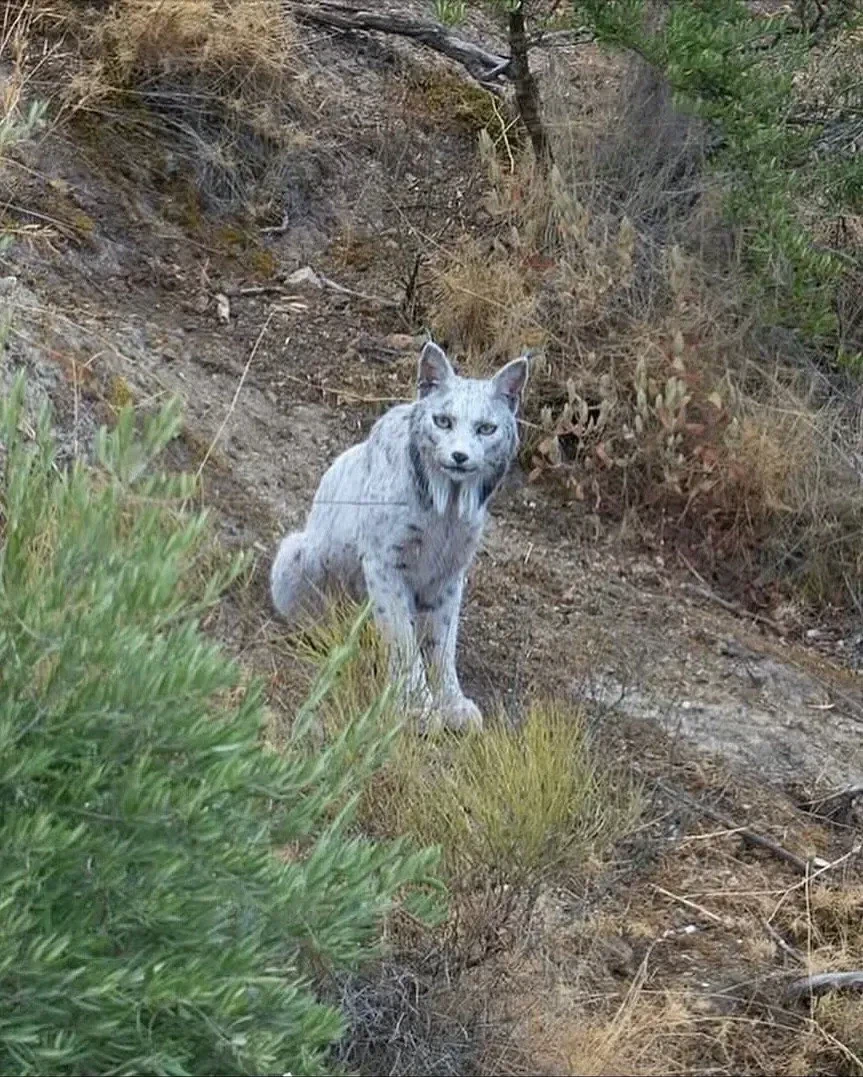 얼마 전 세계 최초로 공개 된 동물_1.webp