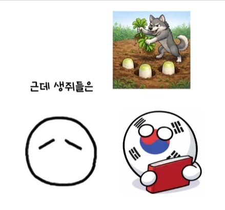 한국에서 외국동화 번역하기 힘들었던 이유.jpg_13.webp