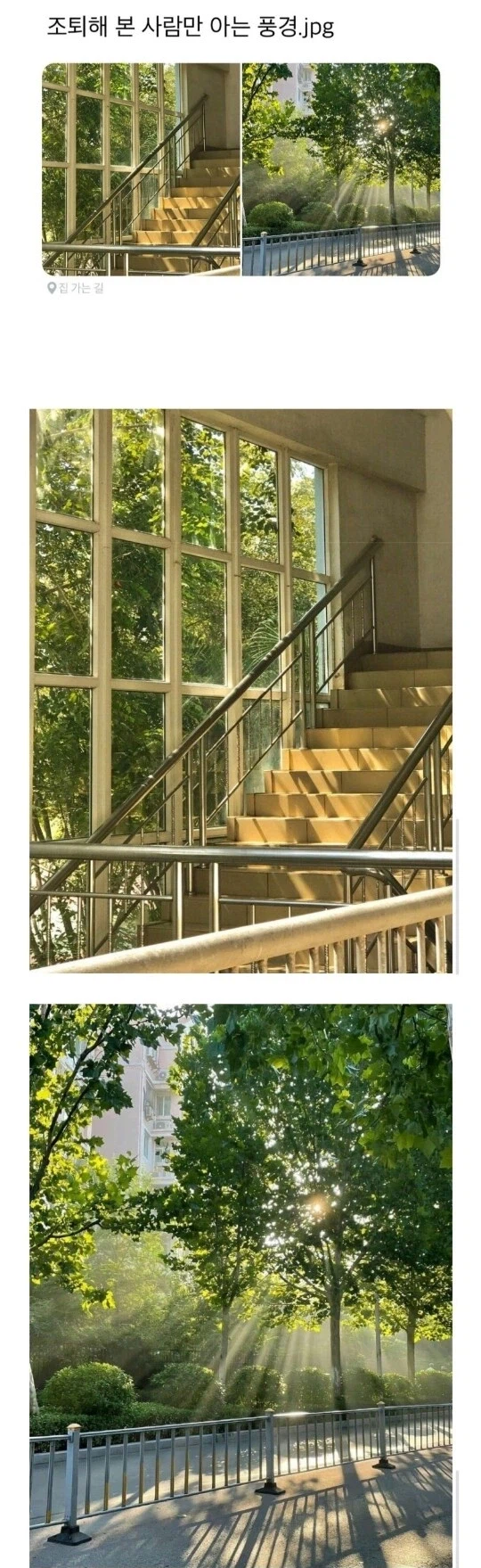 학창시절 조퇴 공감.JPG_3.webp