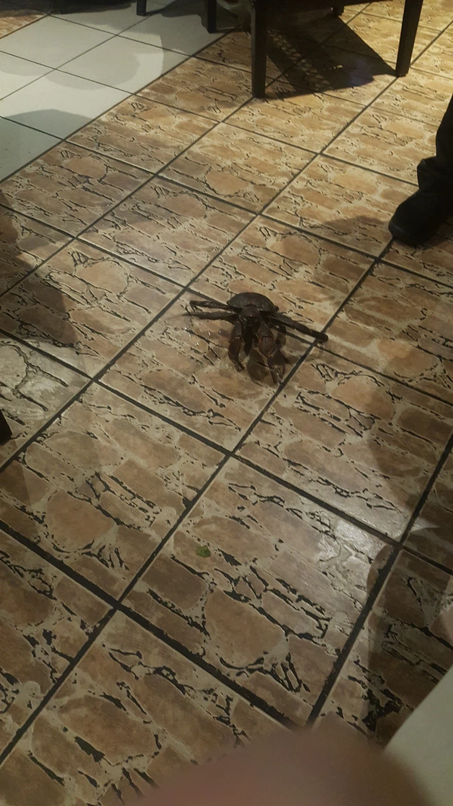 [돼억시니] 괌에서 먹은 코코넛크랩_1.webp