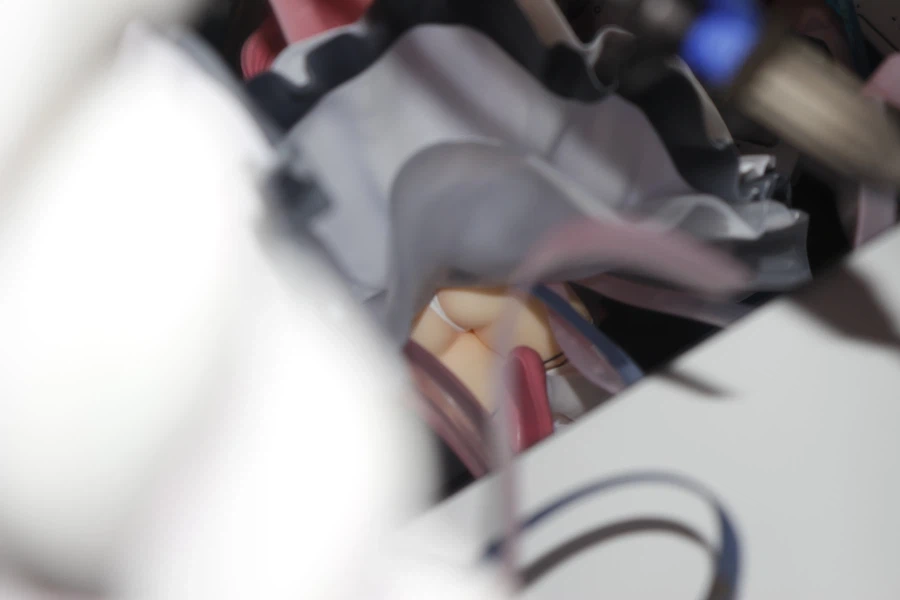 장식장 뒤에 거울 붙인 겸 미소녀 피규어 재배치_28.webp