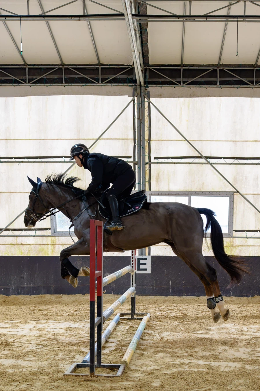 SEL2470GM2 | 말과 기수를 찍으며 확인한 '신뢰의 AF'_1.webp