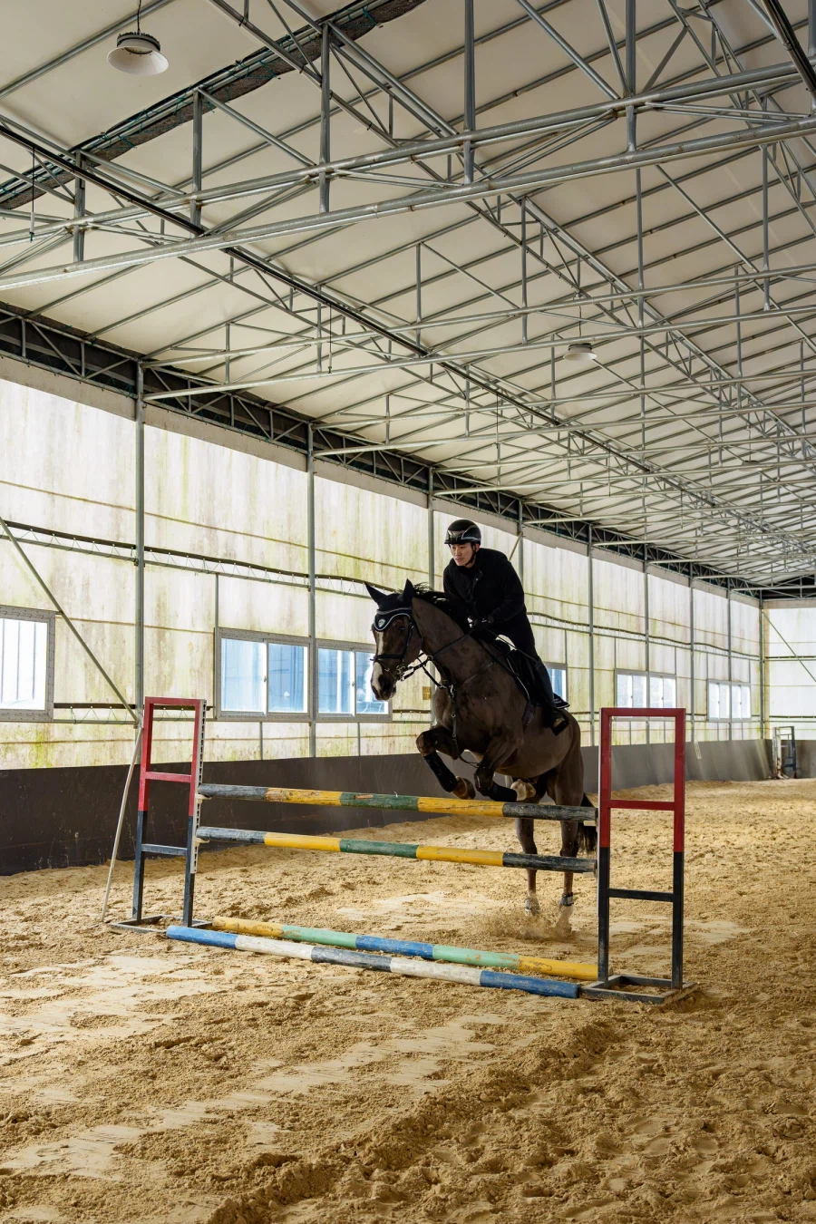 SEL2470GM2 | 말과 기수를 찍으며 확인한 '신뢰의 AF'_9.webp