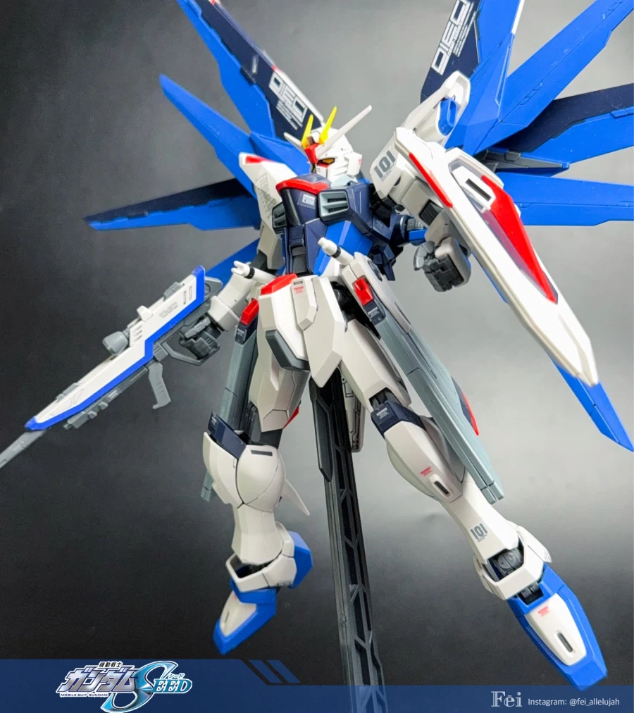 [MG] 프리덤 건담 ver. 1.0_3.webp