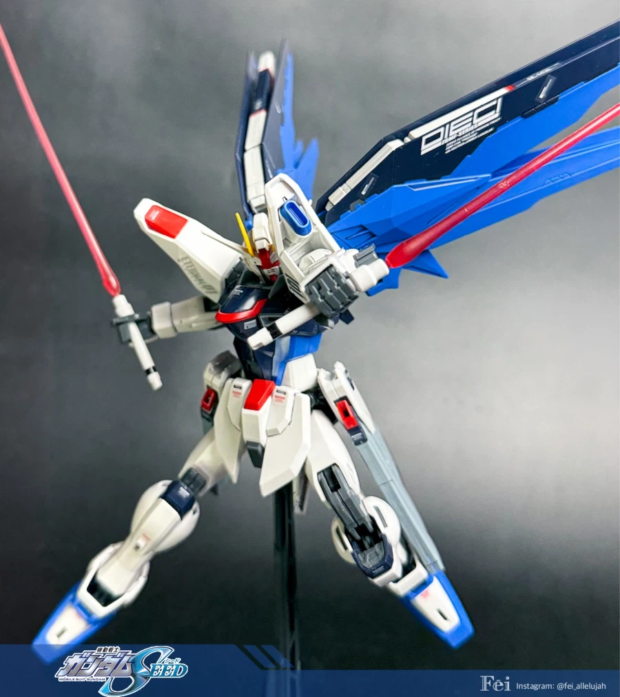 [MG] 프리덤 건담 ver. 1.0_17.webp
