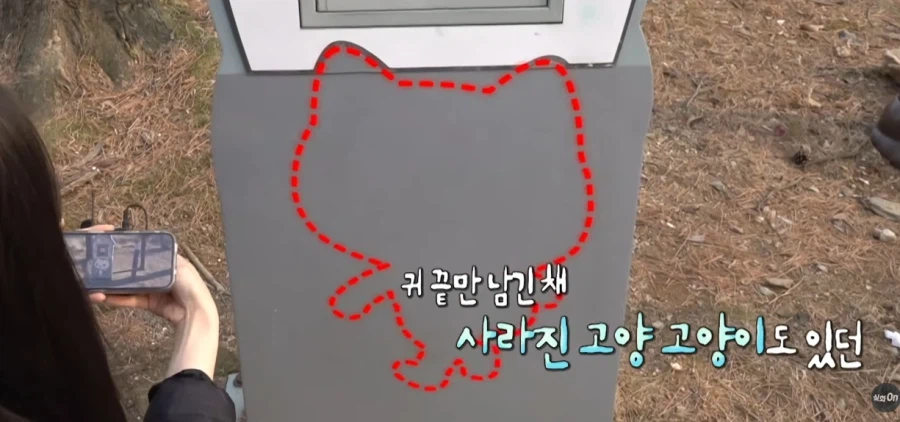 고양시의 마스코트 근황_4.webp