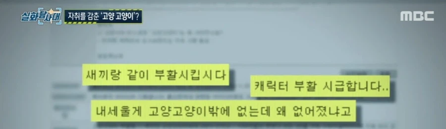 고양시의 마스코트 근황_11.webp