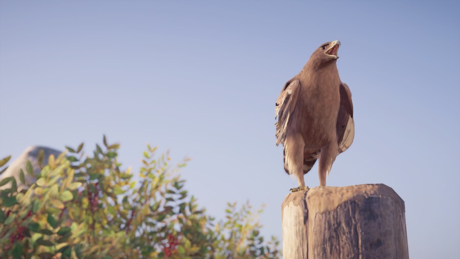 Gta 5 뱀잡이 독수리와 각종 새들_2.png