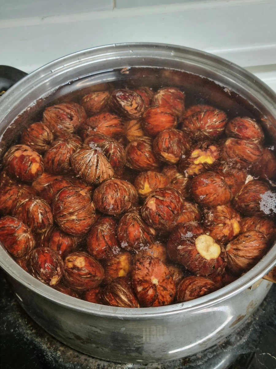 밤 디저트는 바밤바의 친척같은 것_1.webp