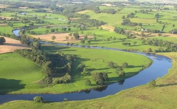 SF) 뭔가 잘못된 미래의 레볼루숑_2.webp