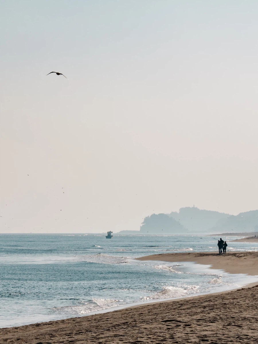 SEL2470GM2 | 가장 투명한 겨울의 파랑_1.webp