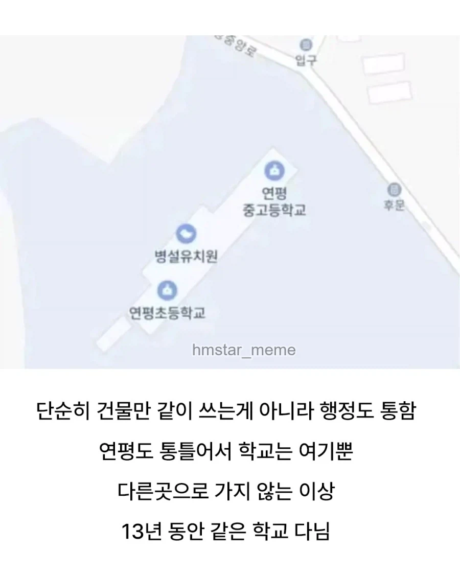 초중고등학교의 가성비 세팅_2.webp