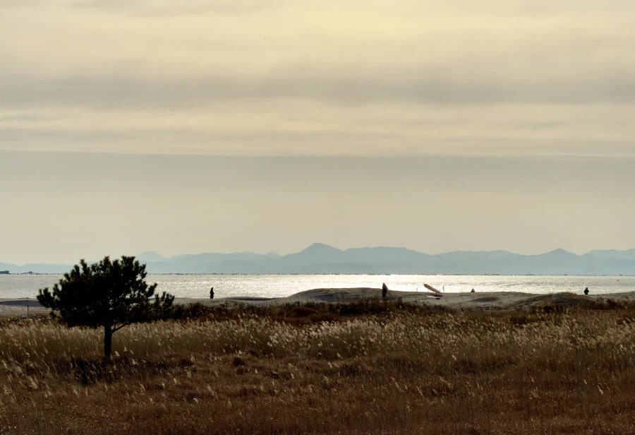 부산 다대포_1.webp