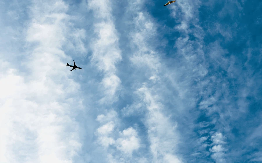 부산 다대포_2.webp