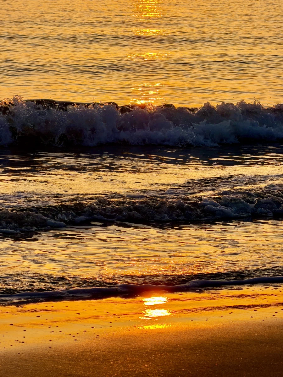 부산 다대포_10.webp