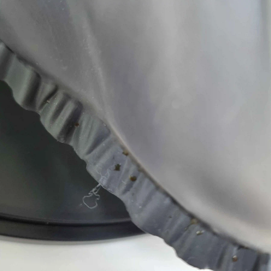 타이토 비스크 돌 블랙 로벨리아 피규어 있으신분?_2.webp