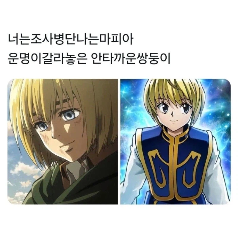 운명이 갈라놓은 안타까운 쌍둥이.jpg_1.webp