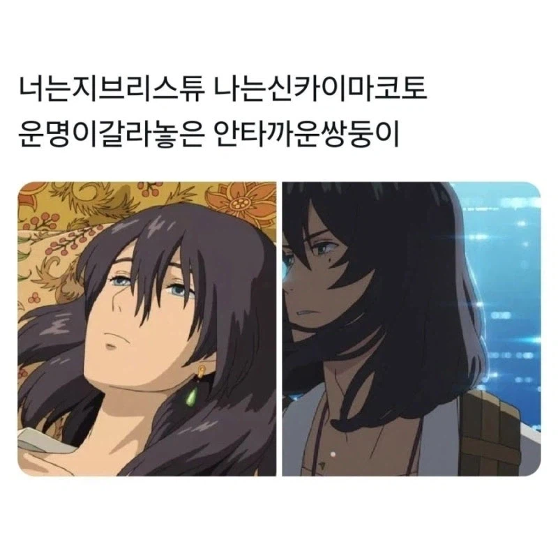 운명이 갈라놓은 안타까운 쌍둥이.jpg_2.webp