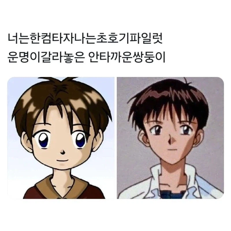 운명이 갈라놓은 안타까운 쌍둥이.jpg_5.webp