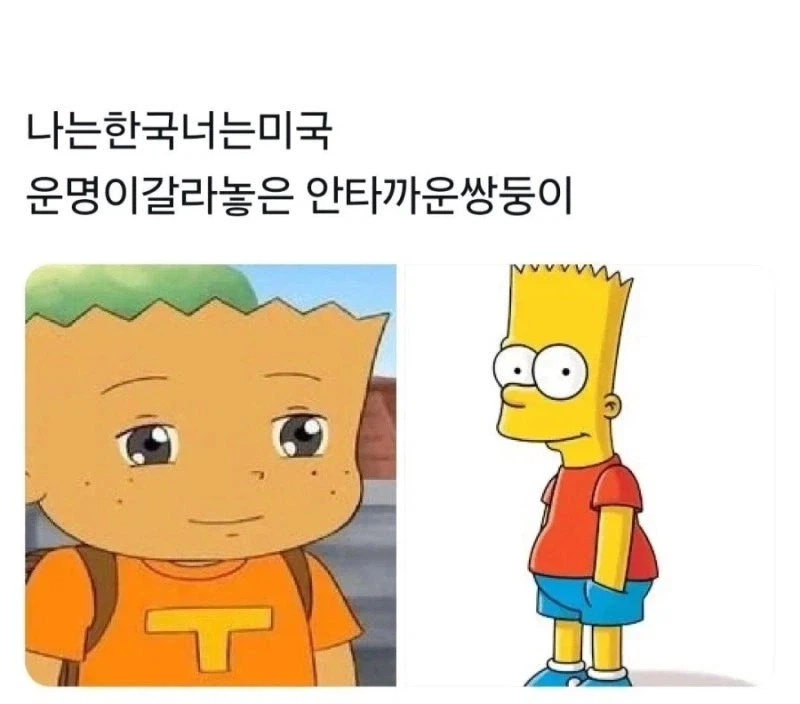 운명이 갈라놓은 안타까운 쌍둥이.jpg_8.webp