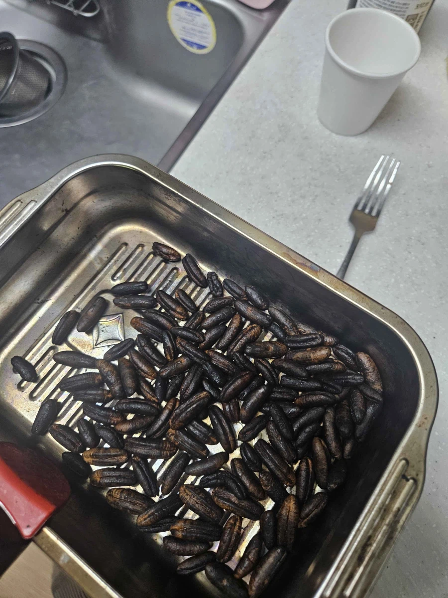 이건 어느 탭으로 올려야 하나 싶은 대추야자 커피 도전기_6.webp