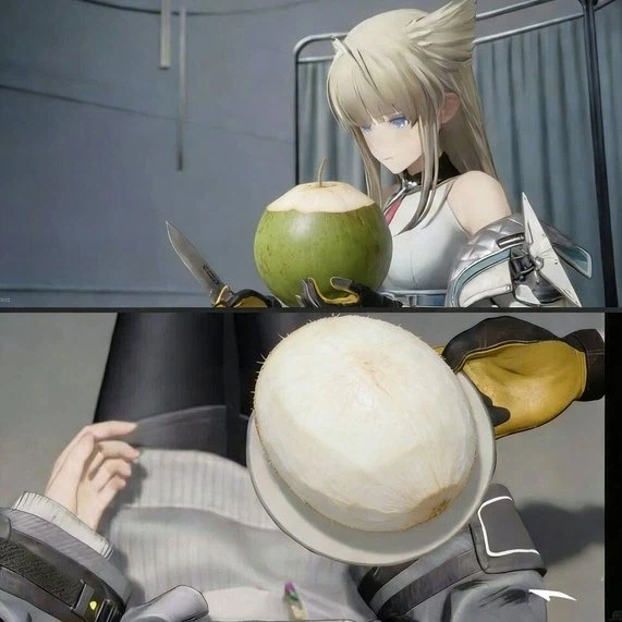 엔드필드)펠리카의 선물 근황.jpg_1.webp