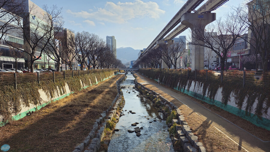 집밥 먹는게 귀찮아서 동네 초밥 뷔페 갔다왔네요.._1.jpg