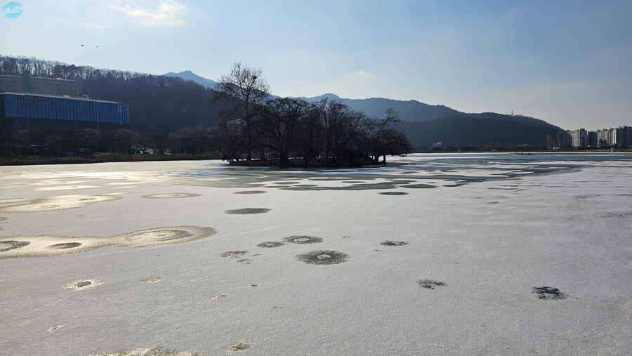 집밥 먹는게 귀찮아서 동네 초밥 뷔페 갔다왔네요.._18.jpg
