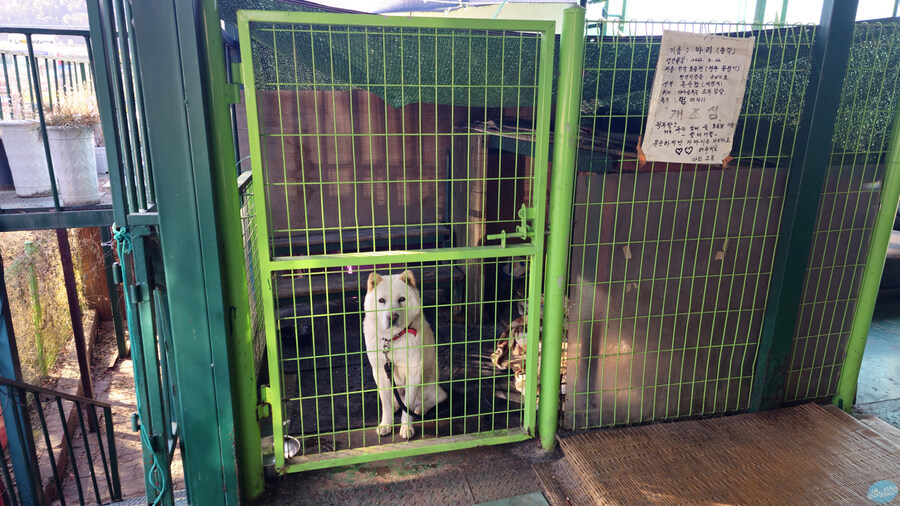 집밥 먹는게 귀찮아서 동네 초밥 뷔페 갔다왔네요.._33.jpg