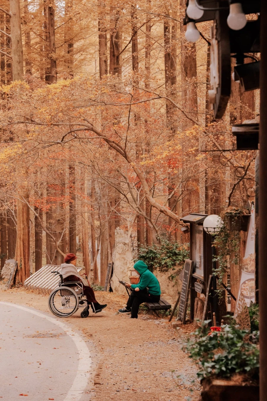 SEL2470GM2 | 붉게 물든 숲을 기억하는 방법_6.webp