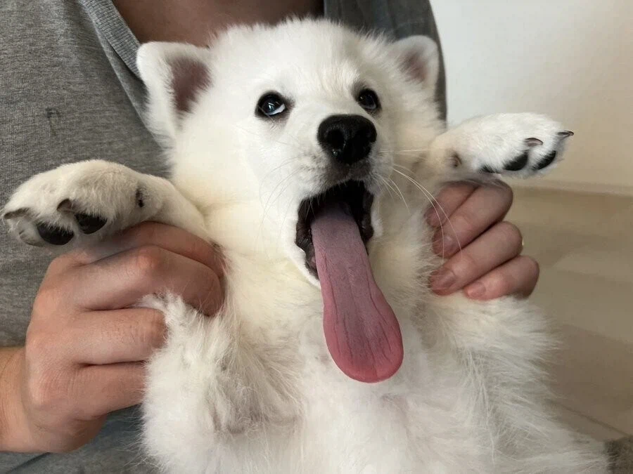 고백)전 사실 npc입니다_1.webp