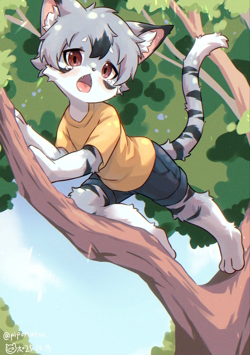 모닝의 퍼리퍼리야_1.webp