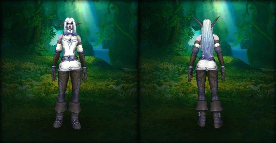 (흥미)와우 미공개 새로운 블엘 비키니 방어구 대하여_30.webp