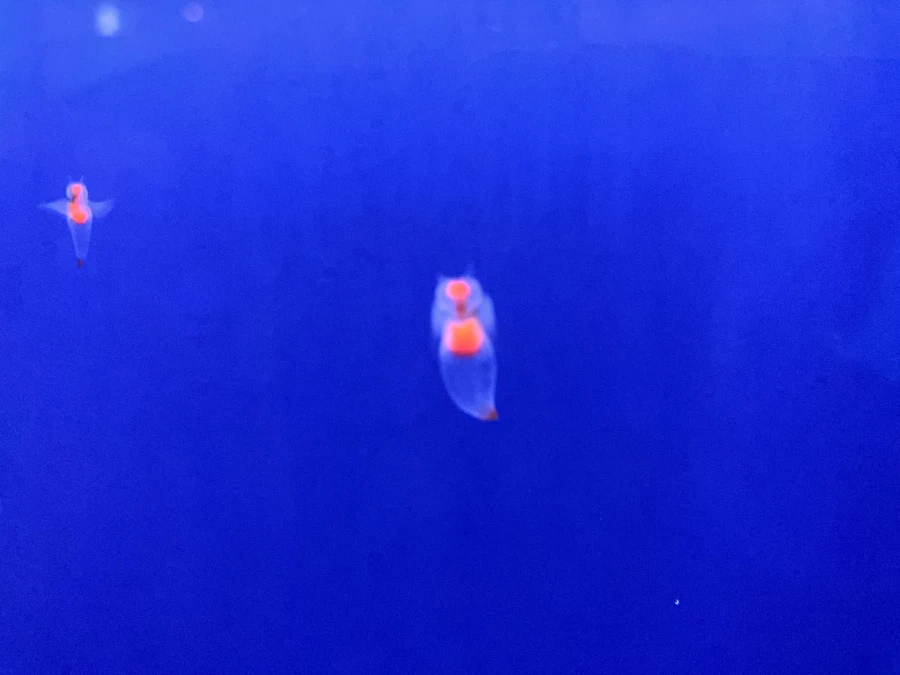 좌충우돌 홋카이도 횡단 여행_190.webp