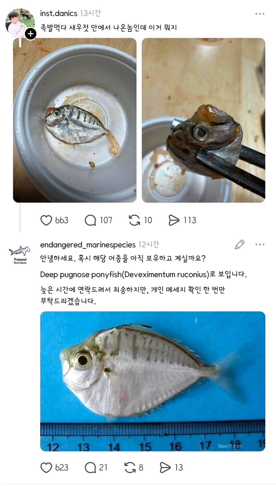 국내 미 기록종 발견에 흥분하고 다급해진 수산과학원 직원_1.webp