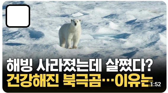 ' 레즈 ㅂ빔 ㅅㅅ의 멸망을 선언한다 '_1.webp