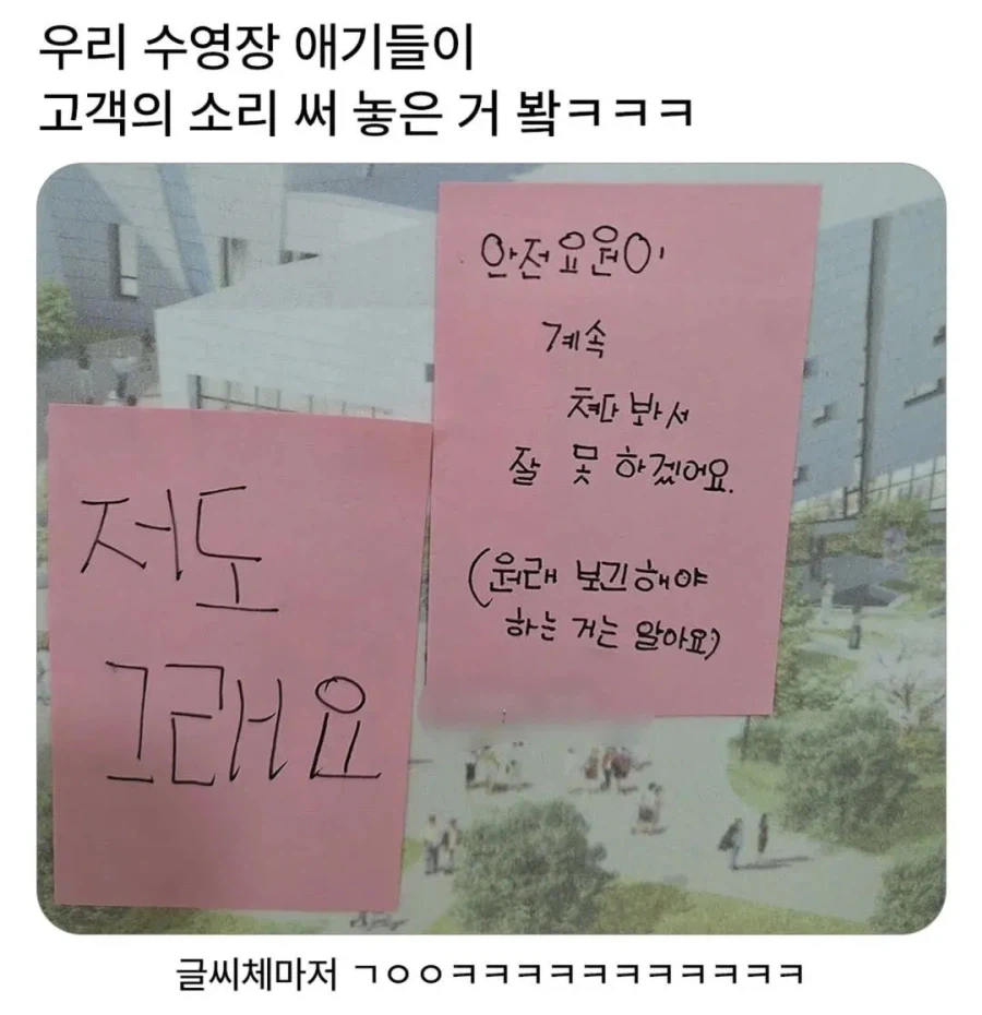 아이들이 수영장에 써놓은 고객의 소리_1.webp