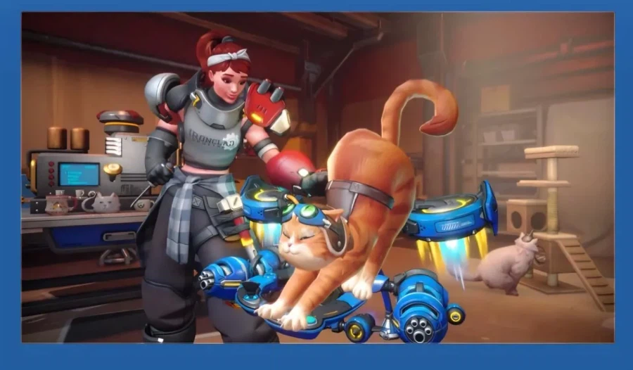 논?란의 옵치 신캐 고양이 설정_1.webp