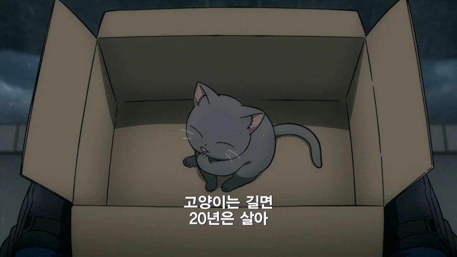 히로아카]의외로 고양이에 진심인편_11.webp