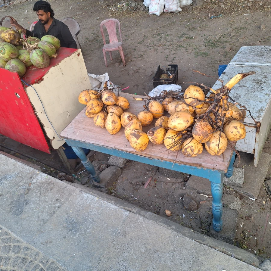 (스압) 인도 전통 소고기 요리 먹어봤습니다_9.webp