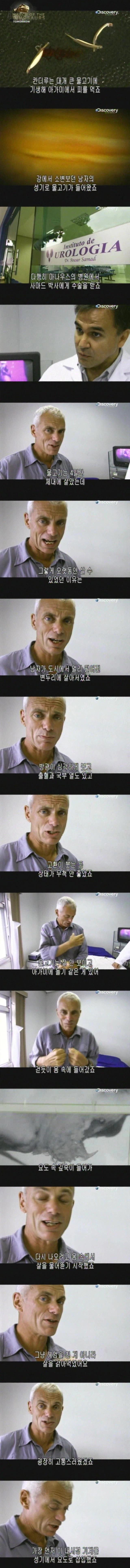 [혐] 안돼 ㅠㅠㅠㅠ 거기는 오줌 나오는 구멍이란 멀이야 ㅠㅠㅠㅠ.jpg_1.webp