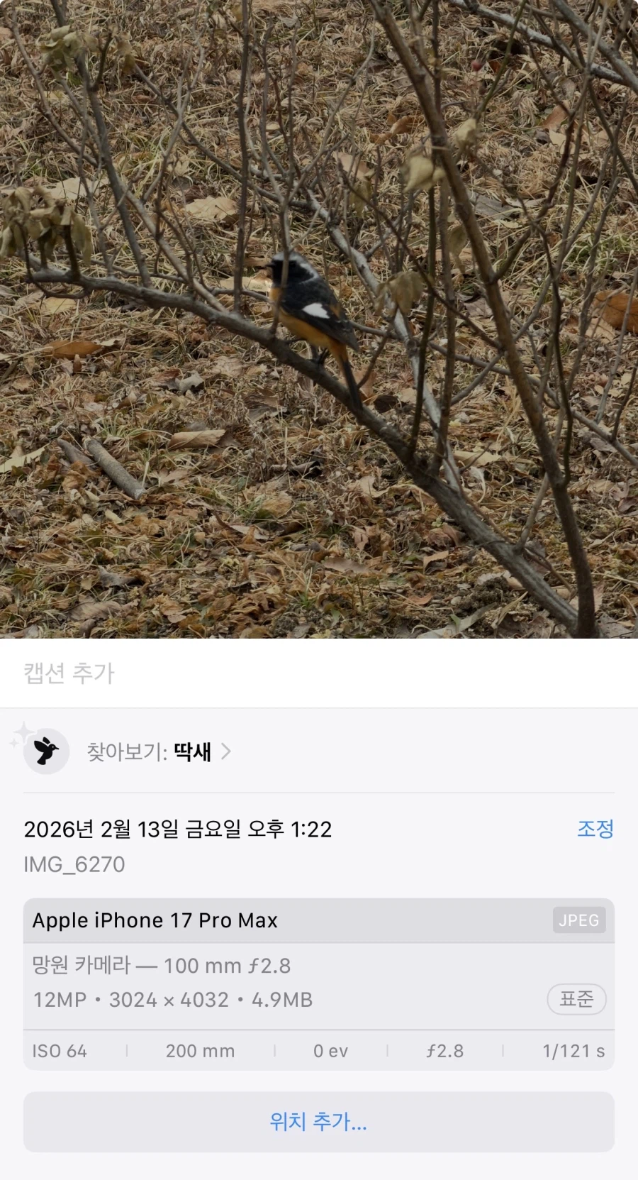 (아이폰) 아이폰으로 새 찍어봤는데 개신기함 ㅋㅋㅋ_2.webp