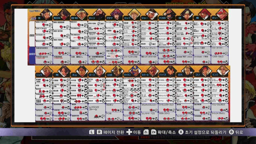 캡콤 파이팅 콜렉션 2_22.webp