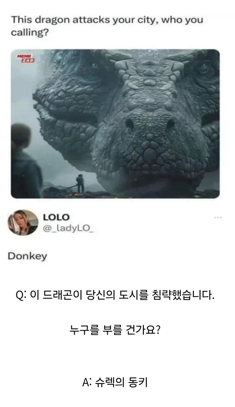 "이 드래곤이 당신의 도시를 침략했습니다."_1.webp