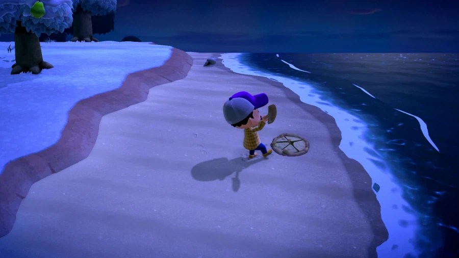 모여봐요 동물의 숲_14.webp