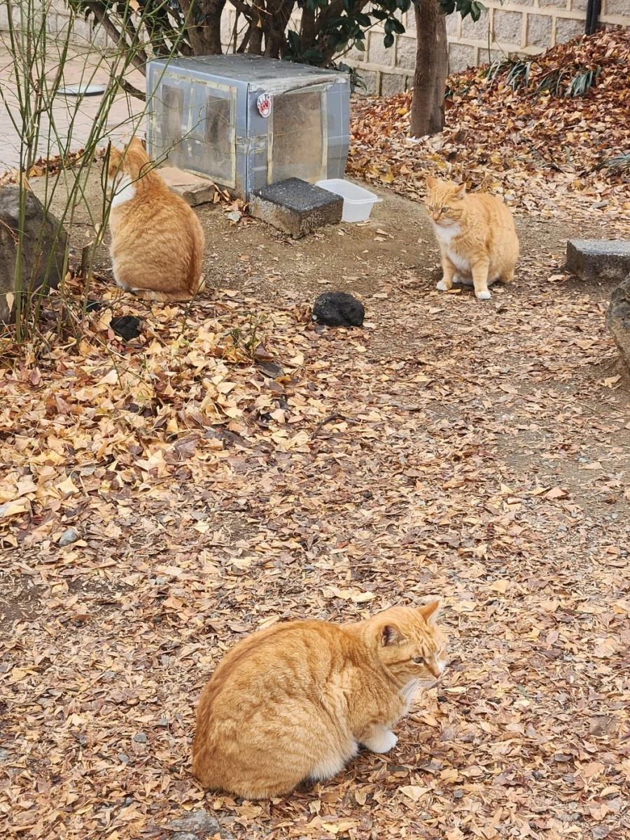 진주, 남해, 전주에서 먹은 음식들_64.webp