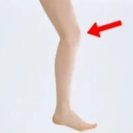 극3)아빠숙제 영어 과학 사회 종합_54.webp